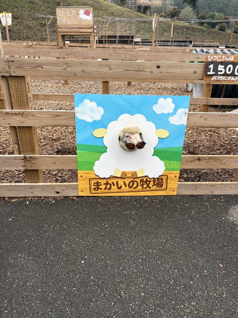 朝霧キャンプベースそらいろレポ
